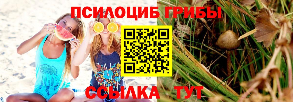 Славгород  Галлюциногенные грибы мухоморы  Вход с VPN  Псилоцибиновые грибы Psilocybe 