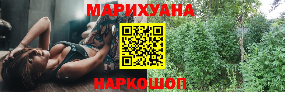 Славгород  Конопля VHQ  Конопля сатива  Вход с VPN 
